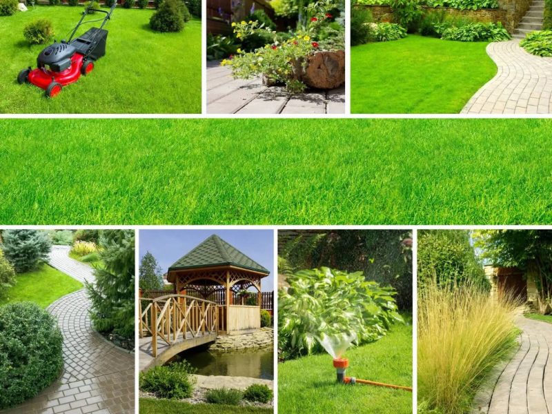 DeWatermark.ai_1748597189380 Landscaping Services Dublin