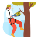 Tree-Surgery-r3pggp2m4u3py49fy0ri5piykllowfw89nzb6d9ams Tree-Surgery-r3pggp2m4u3py49fy0ri5piykllowfw89nzb6d9ams