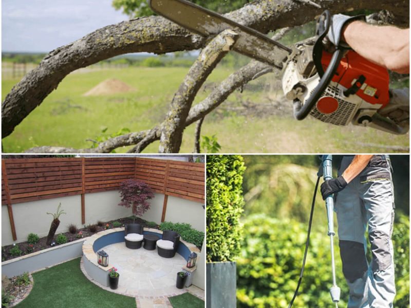 gride-image-1 tree Care